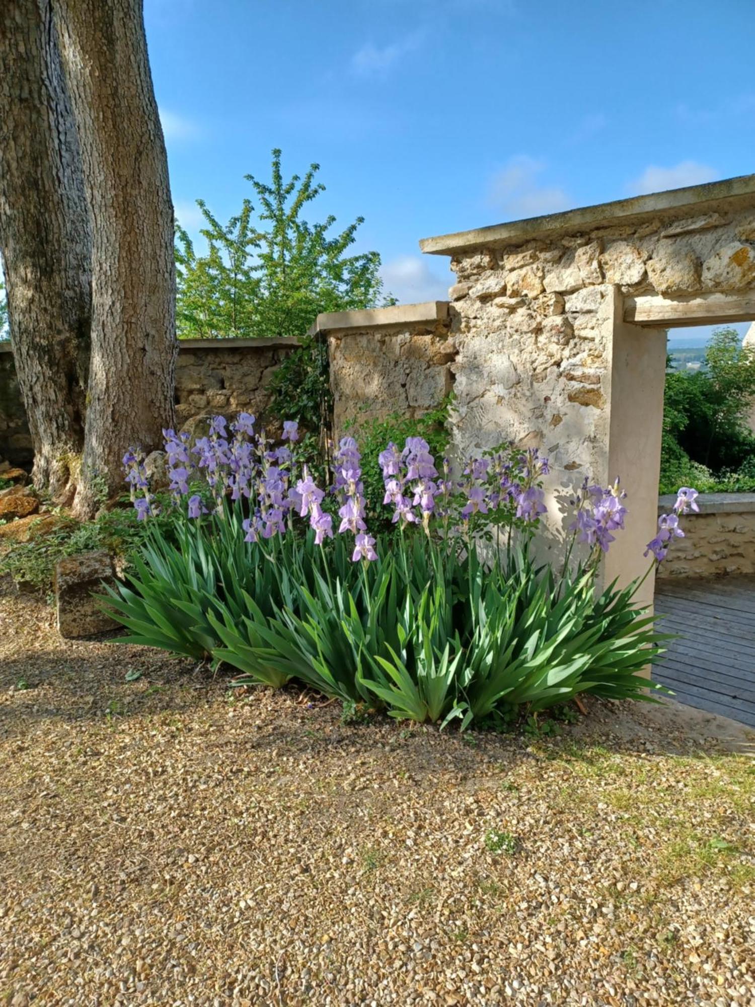 Vaux-Sur-Seine Le Verger المظهر الخارجي الصورة